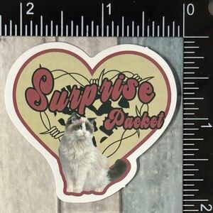 🌀10/$10🌀 Retro Pet Reusable Waterproof Vinyl Sticker Decal